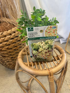 Virginia Blue Ridge Broccoli Cheddar Soup Mix-soups-Fair-The Silo Boutique, Women's Fashion Boutique Located in Warren and Grand Forks North Dakota