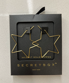 Secret Box Star Earrings-earrings-Dallas Market-The Silo Boutique, Women's Fashion Boutique Located in Warren and Grand Forks North Dakota